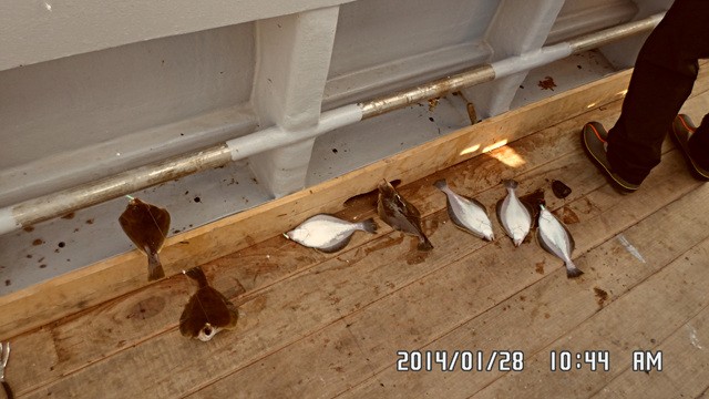 SAM_0167.jpg