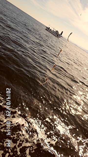 SAM_0183.jpg