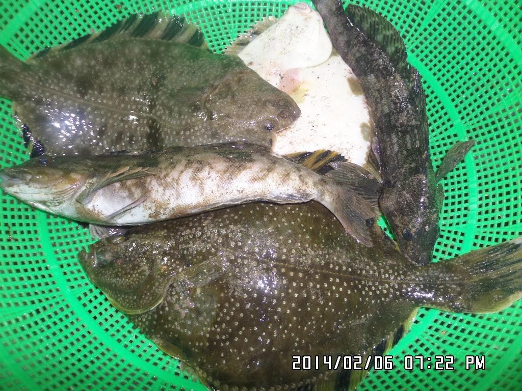��Ȳ 046.jpg