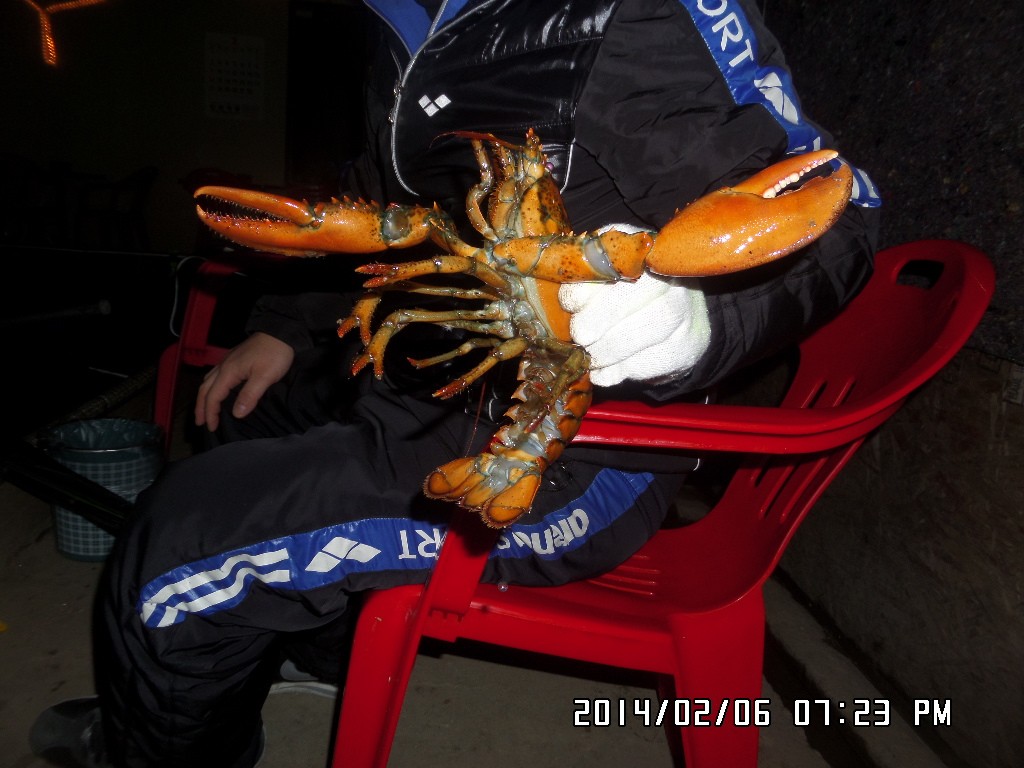 ��Ȳ 047.jpg