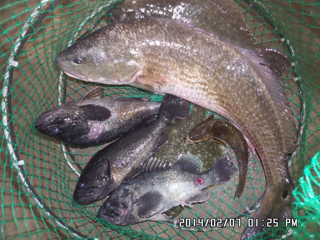 ��Ȳ 059.jpg