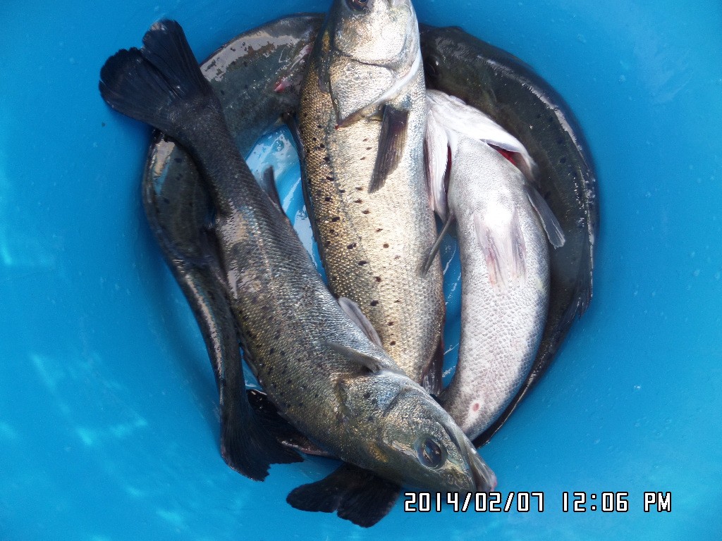 ��Ȳ 053.jpg