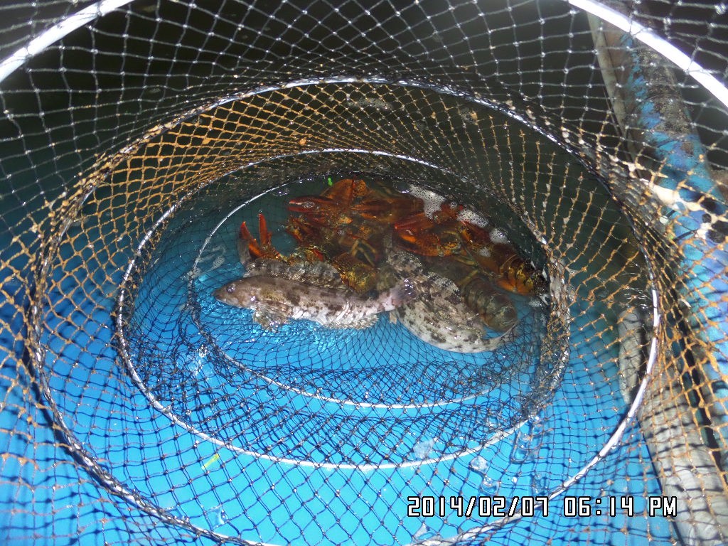 ��Ȳ 061.jpg