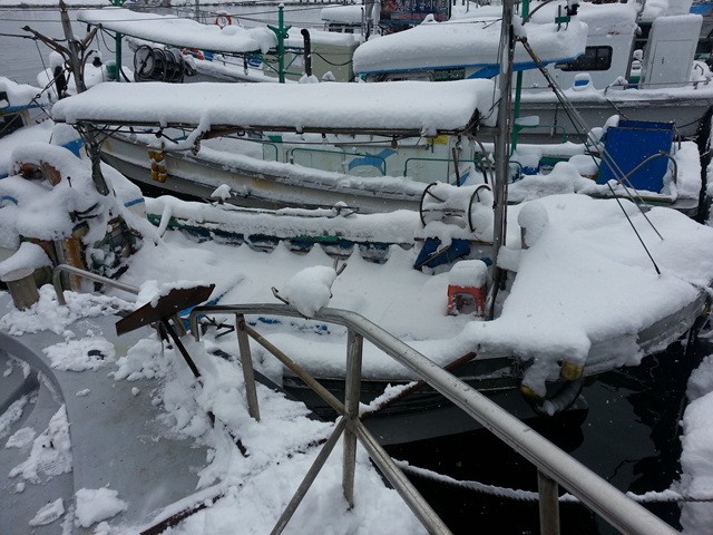 20140211_120117.jpg