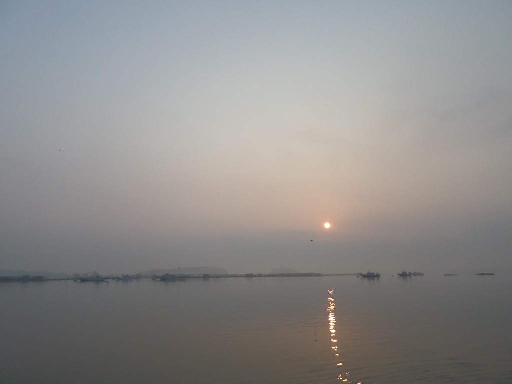 SAM_0823.JPG