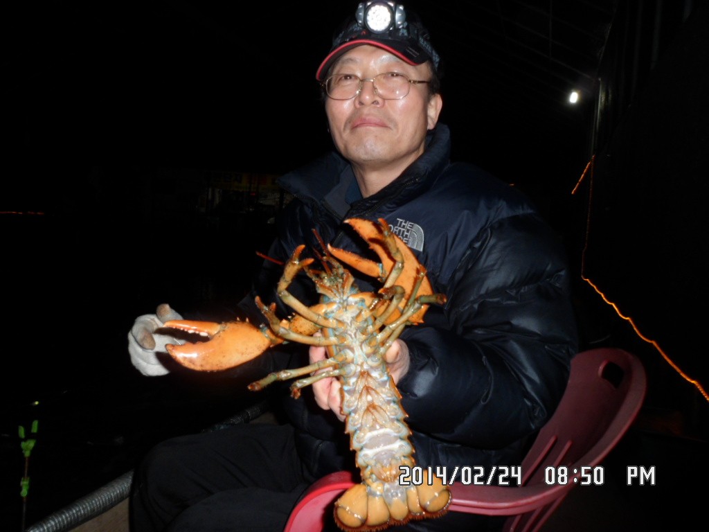 SAM_8900.JPG
