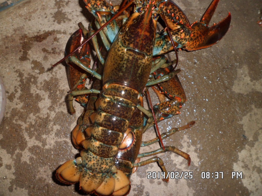 SAM_8936.JPG