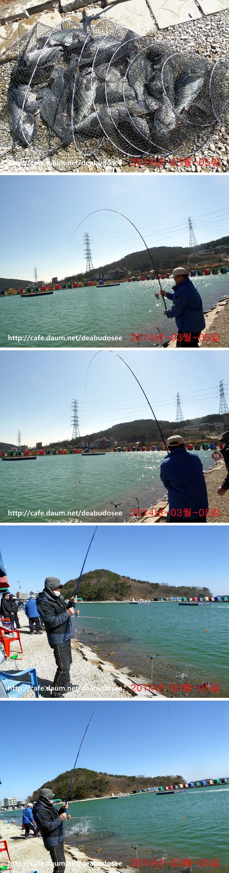 SAM_2363-vert.jpg