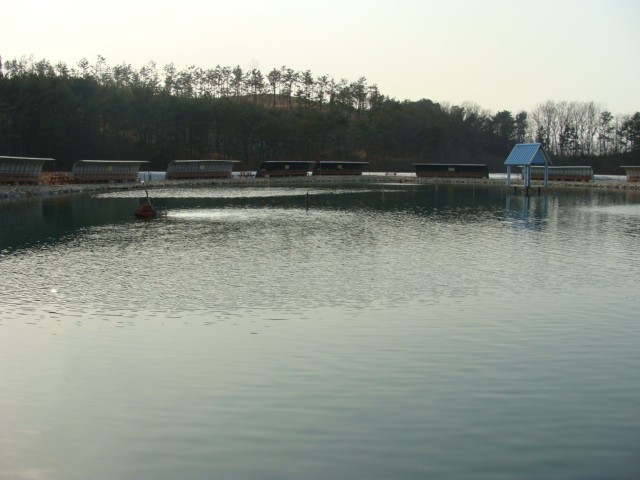 2 003.jpg