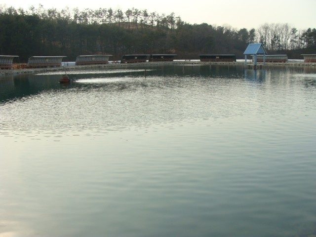 2 004.jpg