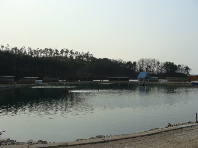 2 005.jpg
