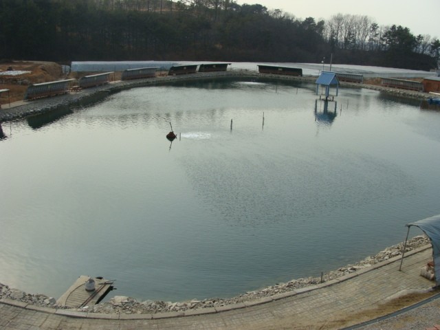 2 007.jpg
