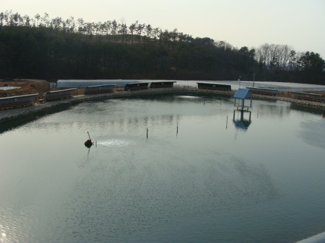 2 006.jpg