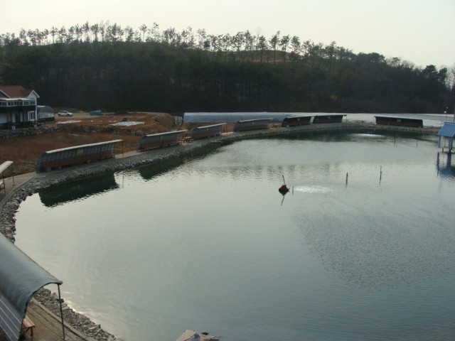 2 008.jpg