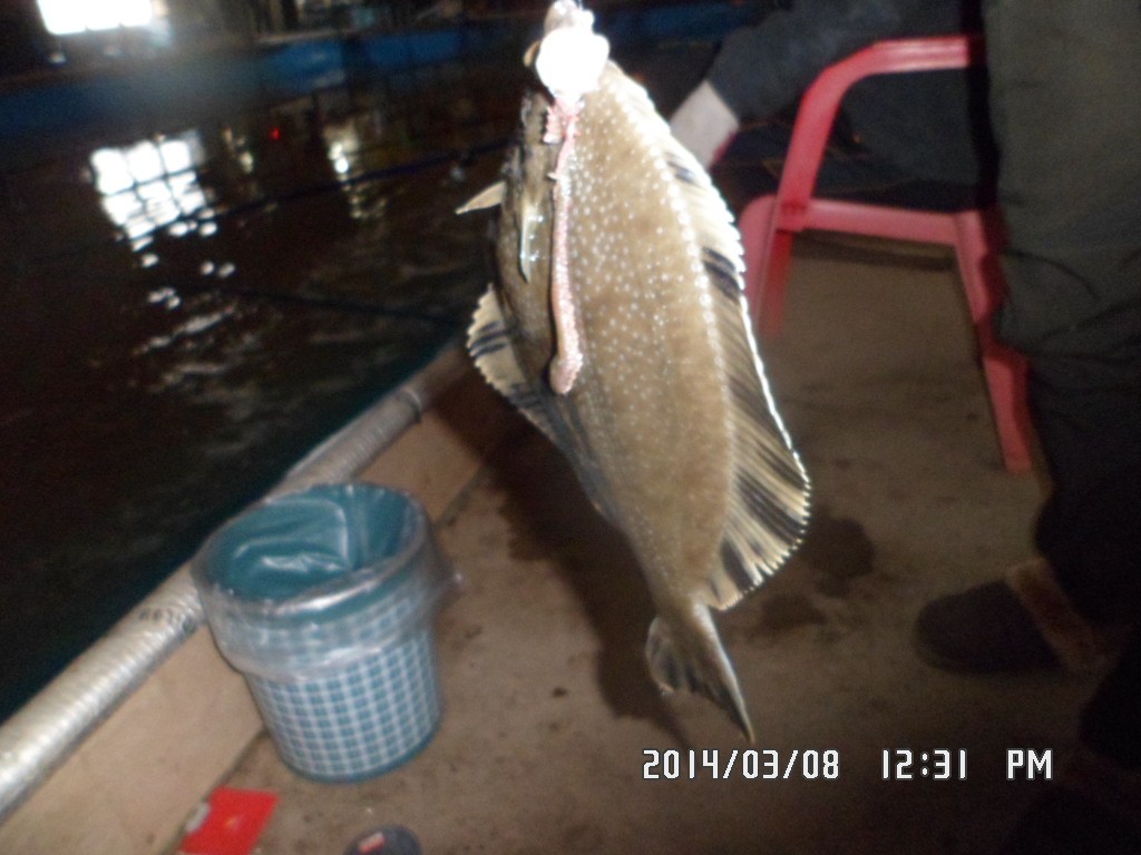 SAM_9403.JPG
