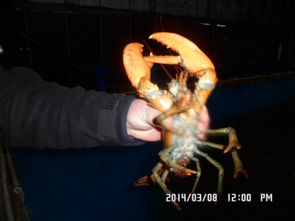SAM_9396.JPG