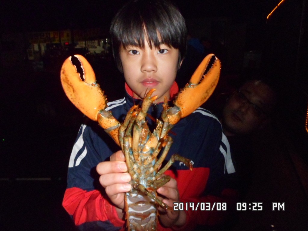 SAM_9449.JPG