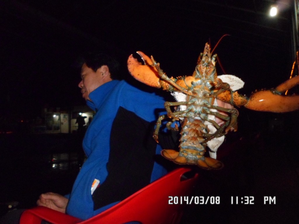 SAM_9463.JPG