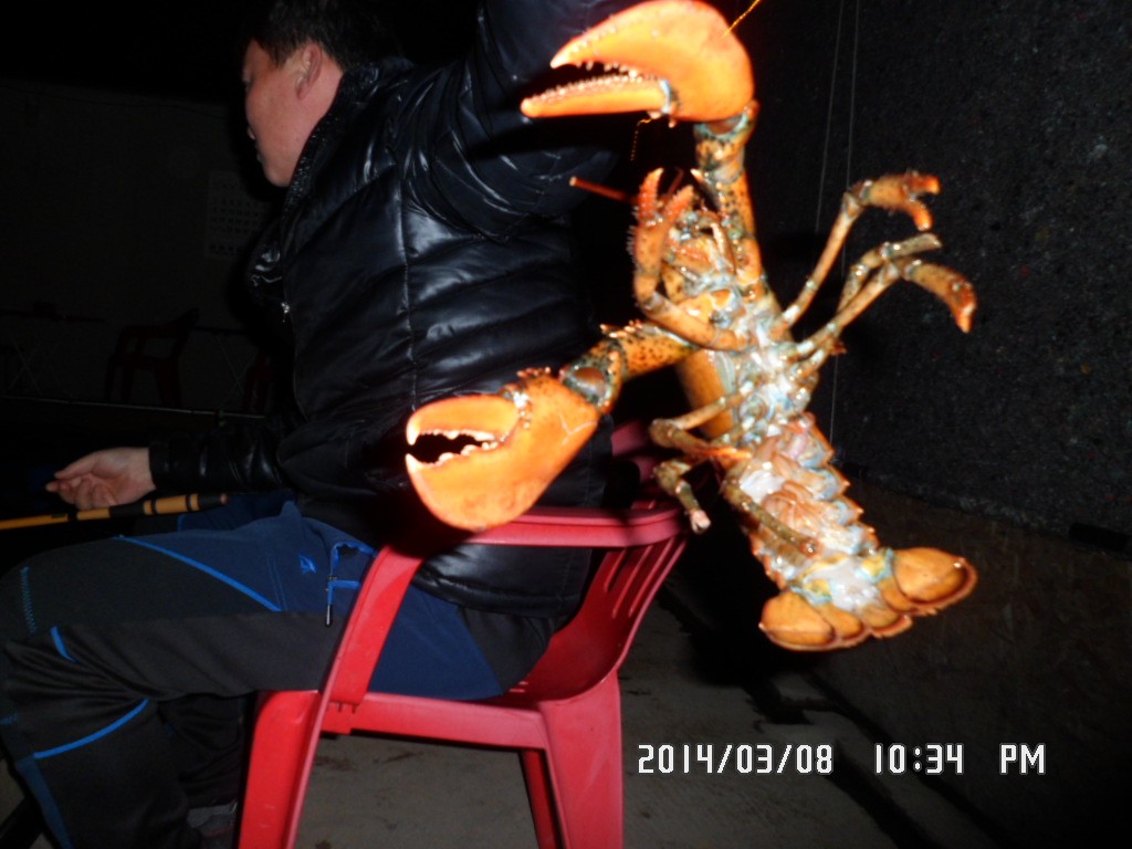 SAM_9460.JPG