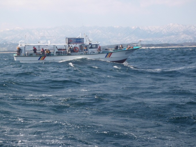 ũ⺯ȯ_P3090138.JPG