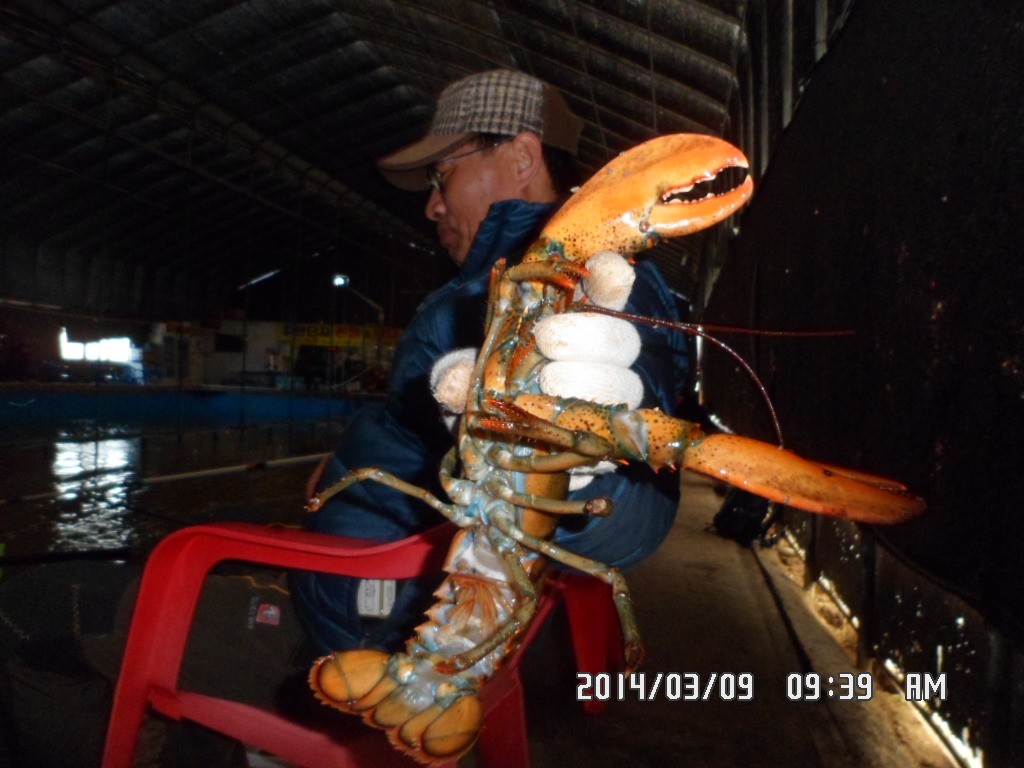 SAM_9490.JPG