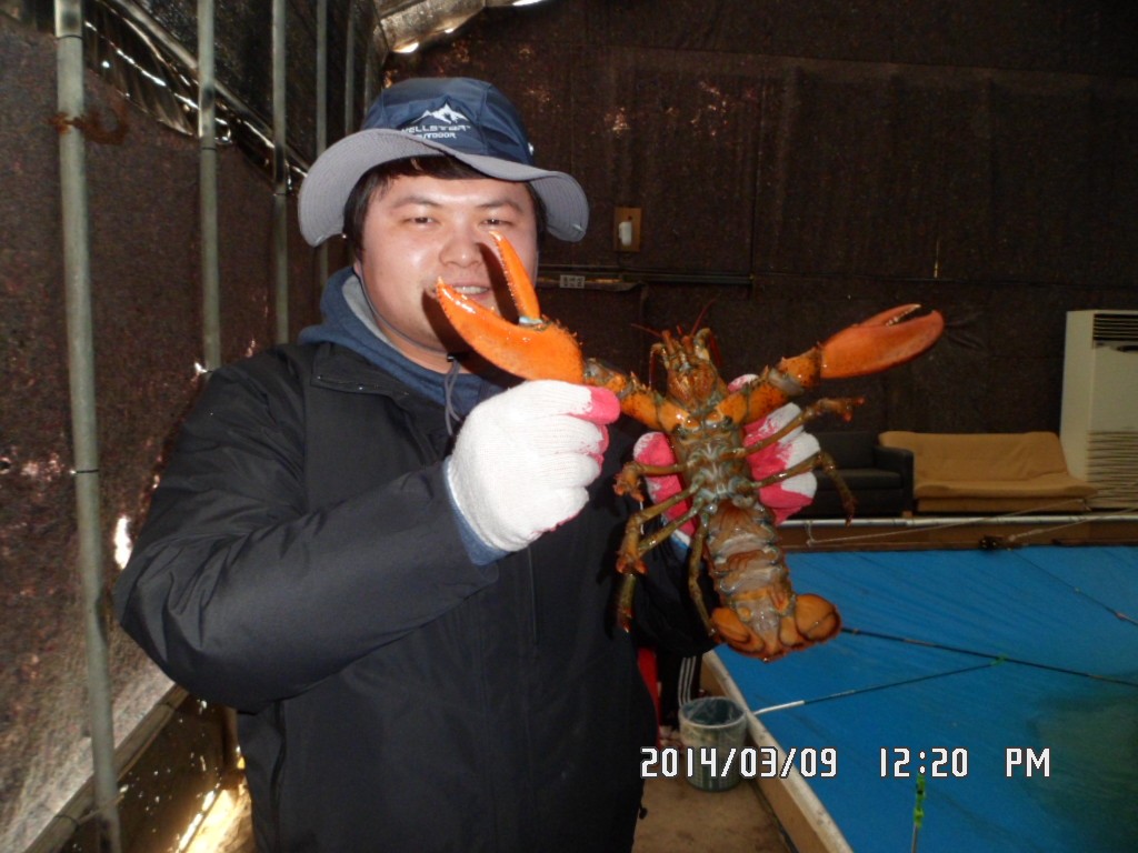 SAM_9506.JPG
