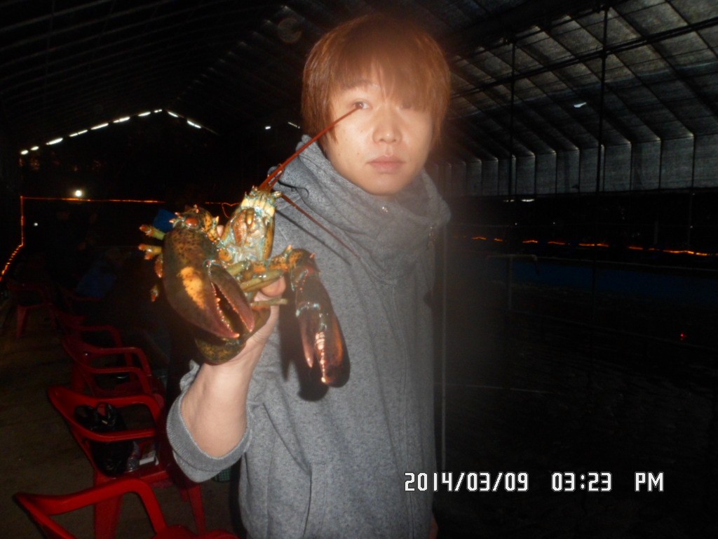 SAM_9531.JPG