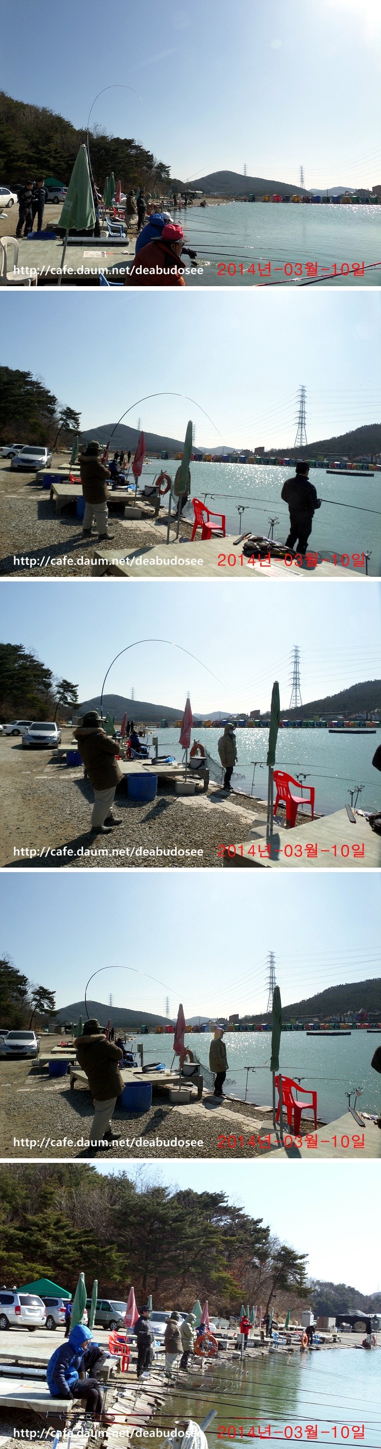 SAM_2917-vert.jpg