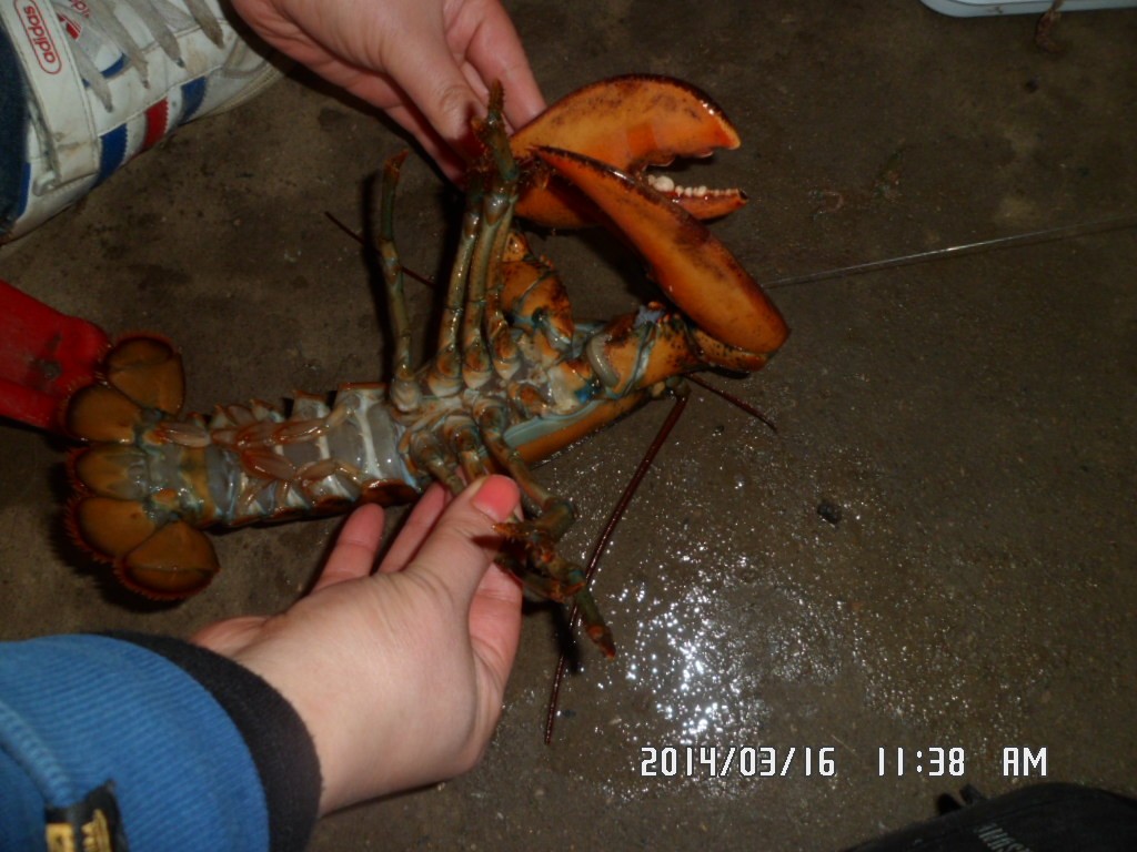 SAM_9793.JPG