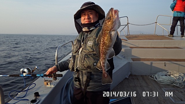 SAM_0490.jpg