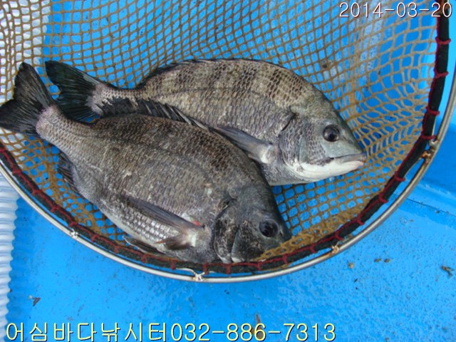 ����2 001.jpg