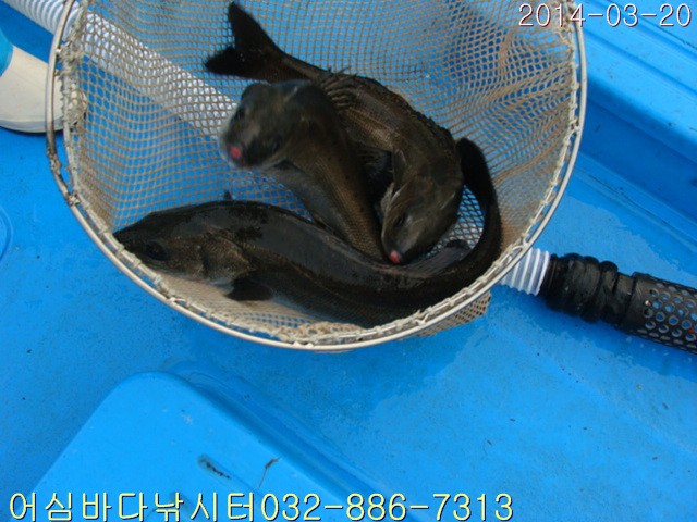 ����2 003.jpg