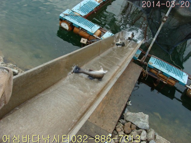 ����2 004.jpg