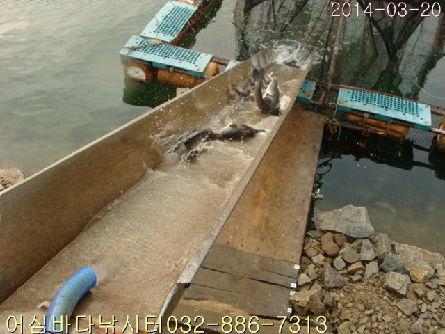 ����2 008.jpg