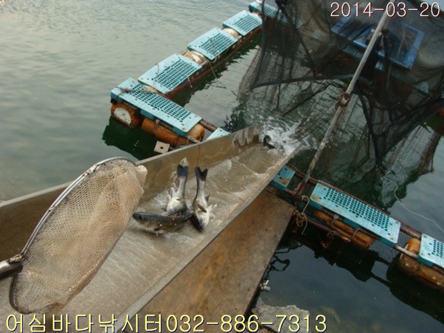 ����2 007.jpg