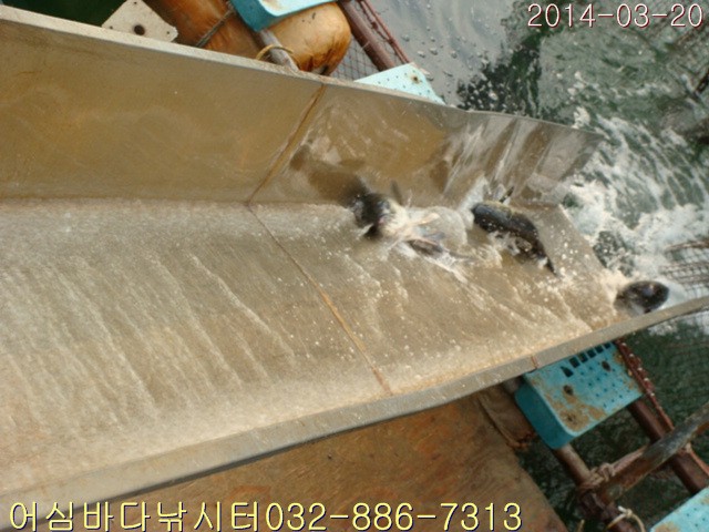 ����2 010.jpg
