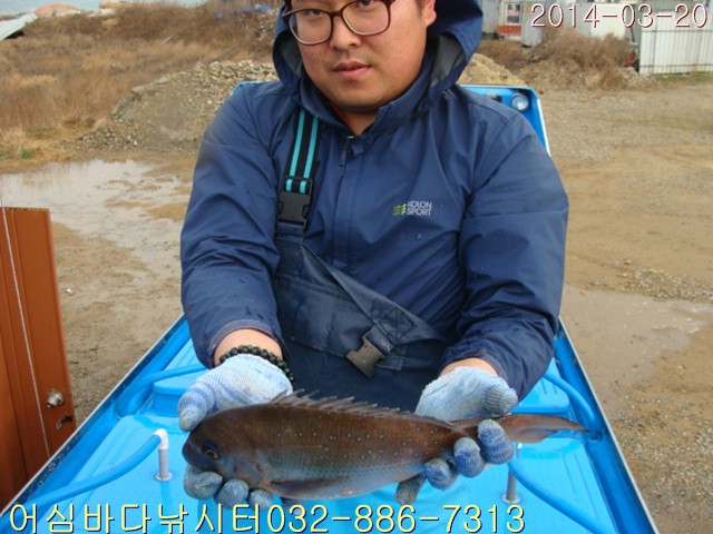 ����2 011.jpg