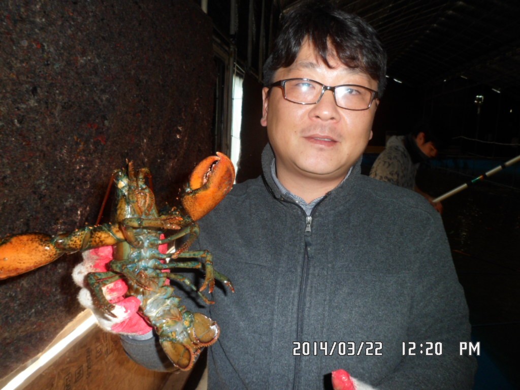 SAM_9915.JPG