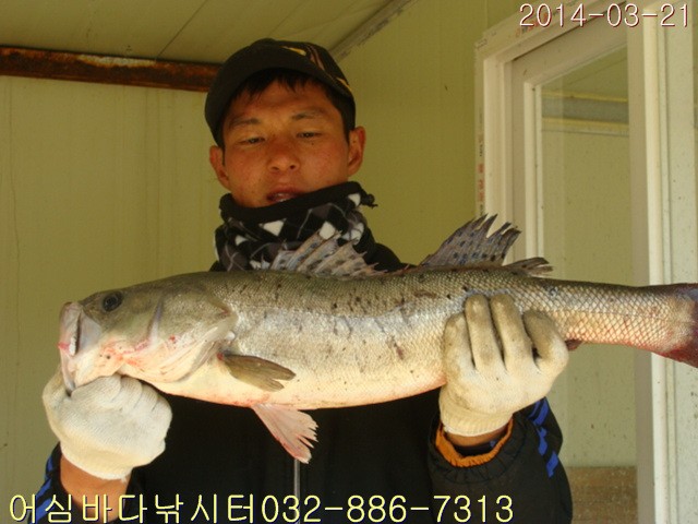����2 010.jpg