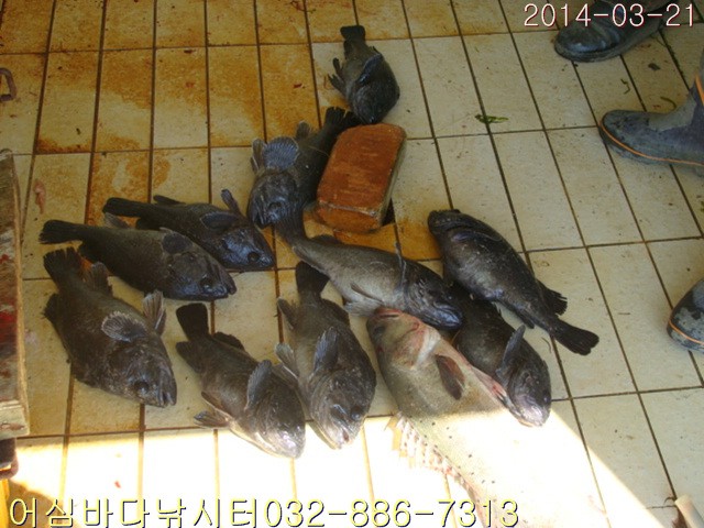����2 011.jpg