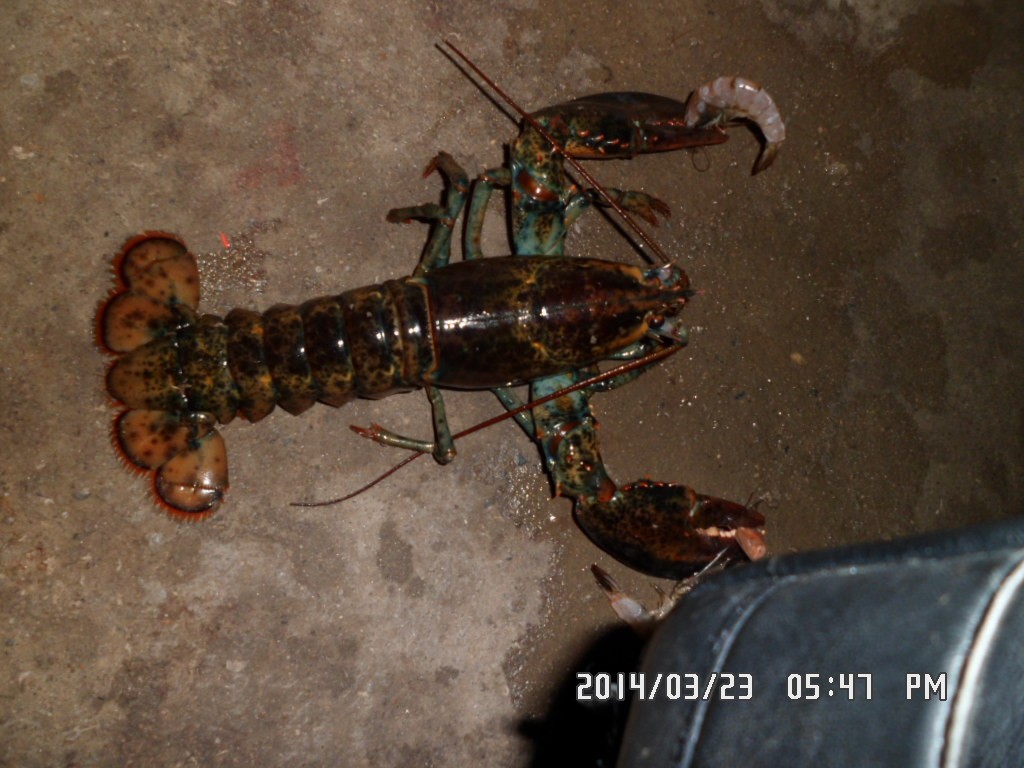 SAM_0030.JPG