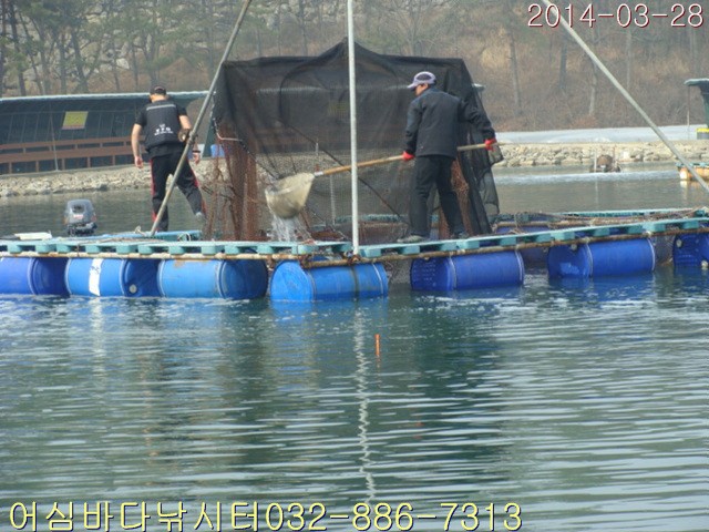 ����2 005.jpg