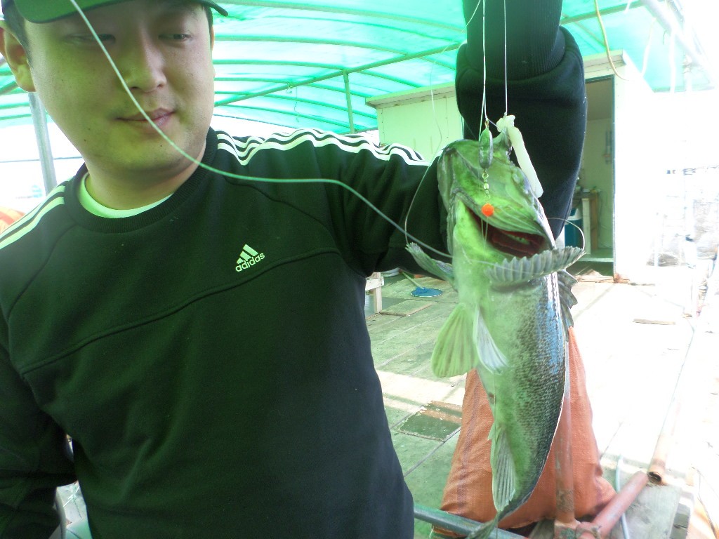 SAM_1221.JPG