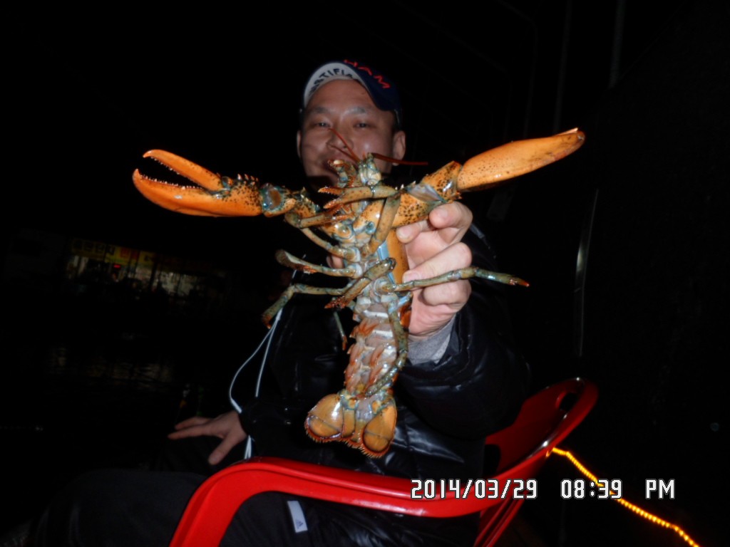 SAM_0187.JPG