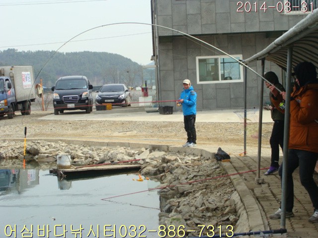 2 011.jpg