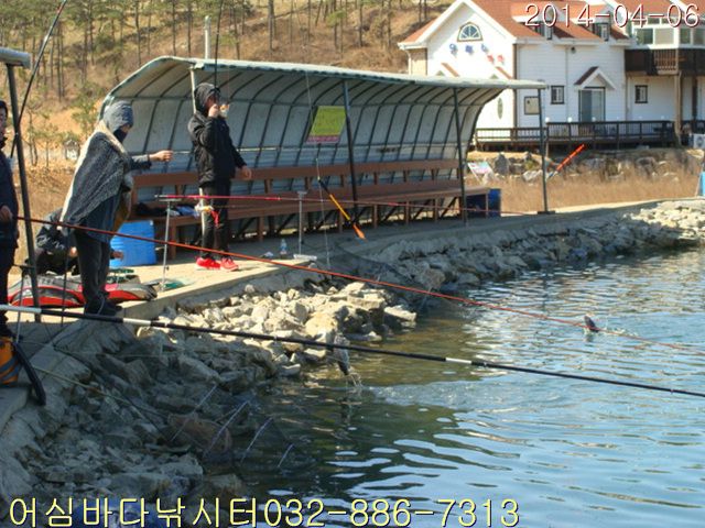 DSC00967.jpg