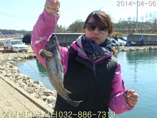 DSC00974.jpg
