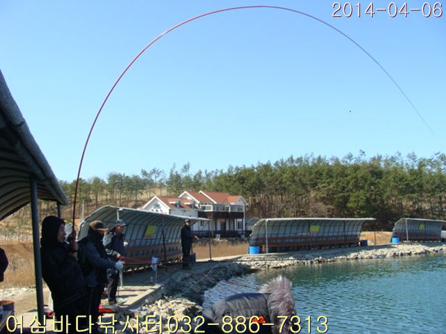 DSC00976.jpg