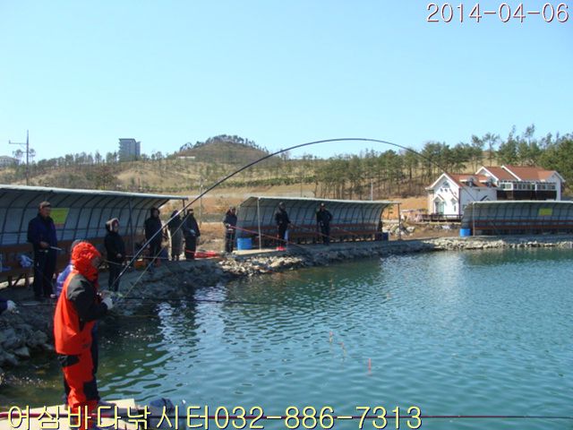 DSC00978.jpg