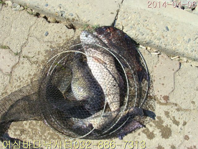 DSC00980.jpg